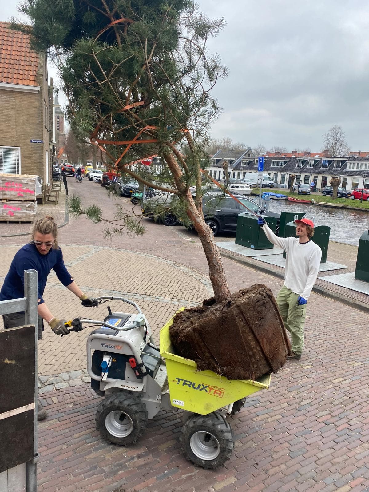 Hovenierswerk en tuinonderhoud in Hem – projectfoto 21