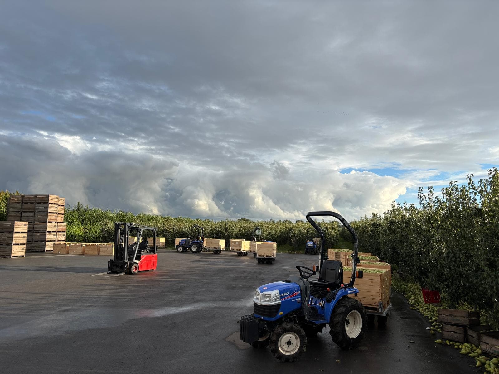 Project uitgevoerd door Slootweg Services – foto 4